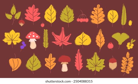 Conjunto de varias hojas de otoño con textura. Setas, bayas, nueces, herbario. Dibujo a mano alzada, pincel de textura. Ilustración vectorial.