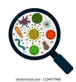 A set of various bacteria, germs and bacilli under the magnifying glass. flat vector illustration isolated on white background