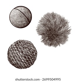 A set of various balls, jute, plastic, and fluffy, for playing with cats. Vector image drawn in graphic style.