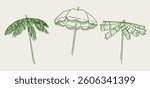 Set of various beach umbrellas. Tropical palm tree leaves parasols. Hand drawn ink vector illustration. Elements for poster, social media, banners, invitation. Trendy coastal summer sketch template.  