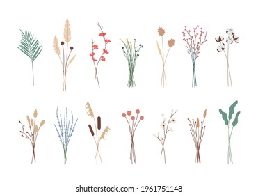 Set of various beautiful bouquets of herbs, tropical leaves, blooming flowers. Collection of flowering or dry plants, herbarium. Elements of decorative, floral design. Isolated vector illustrations.