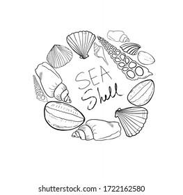 Set of various beautiful mollusk sea shells, sketch style illustration isolated on white background. Realistic hand drawing of seashells like conch, kauri, oyster, spiral, clam and mollusk shells