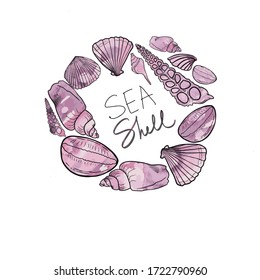 Set of various beautiful mollusk sea shells, sketch style illustration isolated on white background. Realistic hand drawing of seashells like conch, kauri, oyster, spiral, clam and mollusk shells