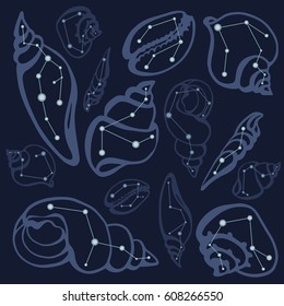 Set of various beautiful mollusk sea shells, sketch style, vector illustration. Marine collection. Underwater world. Constellations and stars. Night sky and reflection in sea. 