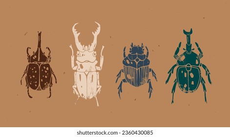 Set of various beetles, bugs or insects. Hand drawn modern Vector illustration. Vintage, Engraving style. Isolated design elements. Print, logo, poster templates, tattoo idea