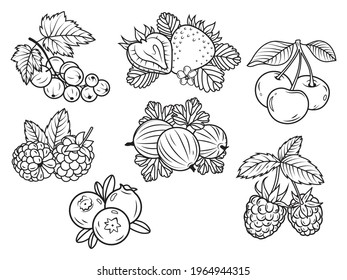 Set of various berries. Collection of field and bush berries blueberries, strawberries, circlet, etc. Healthly food. Fruits. Vitamins. Vector illustration on white background.