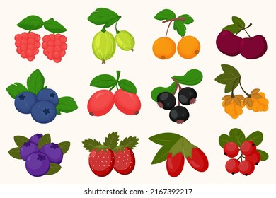 Set of various berry fruit drawing cartoon style,  vector illustration