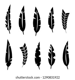 Set of various bird feathers. Black silhouettes on a white background, vector illustration.