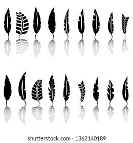 Set of various bird feathers. Black silhouettes on a white background, vector illustration.