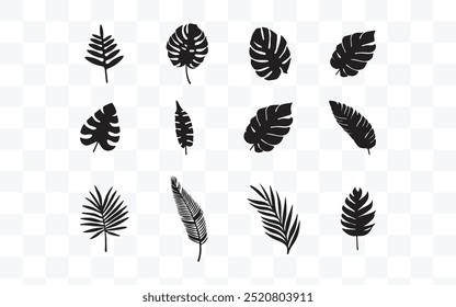 Set of various black botanical leaf illustrations, including different tropical shapes like palm, fern, and monstera leaves, depicted in a clean, modern style on a white backdrop.