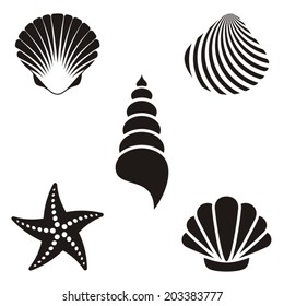 Set of various black sea shells and starfish