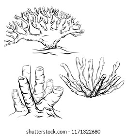 Set of various black and white contour cartoon corals. The object is separate from the background. Linear illustration for printing on T-shirts, covers, sketches of tattoos and your design.