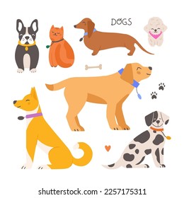 Set of various breed dogs and a cat. Hand drawn cartoon animals vector illustration. 