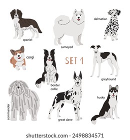 Set of various breeds white dogs authors work