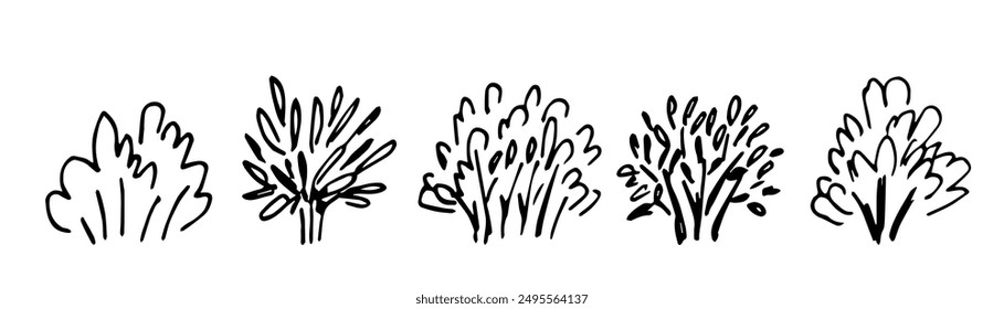 Set of various bushes, trees, forest plants. Nature and vegetation, landscape. Simple ink sketch, hand drawn vector drawing with black outline.