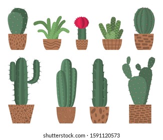 
Set of various cacti in decorative ceramic pots isolated on white background. Collection of Cactus icons. Vector illustration.