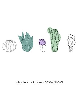 
Conjunto de varios cactus sobre un fondo blanco. en color y sin. Flora del desierto. Ilustración del vector