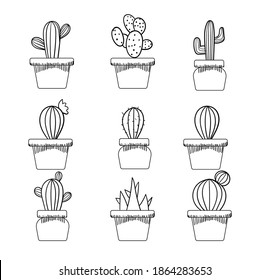 Set of various cactuses in a pot. Monochrome line art. Vector