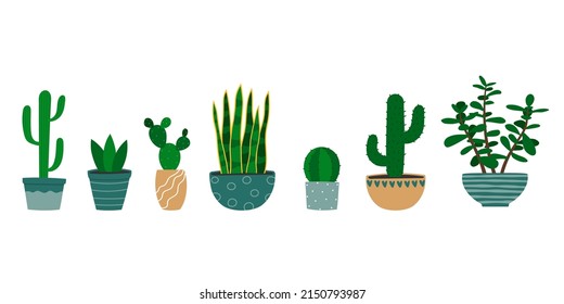 Conjunto de diferentes cactús y plantas suculentas en maceta florida. Hogares coloridos con dibujos animados. Ilustración vectorial aislada. 