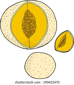 Set of various cantaloupe melons on white background