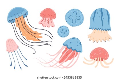 Set of various Cartoon jellyfish flat style. Medusa vector illustration. Modern flat illustration Jellyfish isolated on white background.