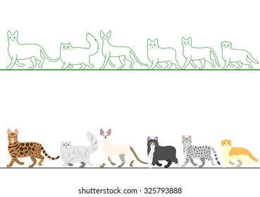 set of various cats walking in line