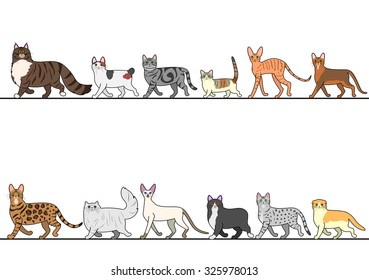 set of various cats walking in line