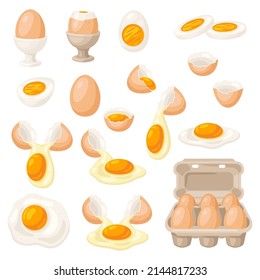 Set of various chicken egg. Images for food and agricultural industries.