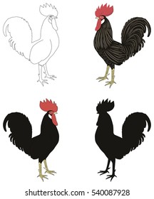 Set of various cocks, silhouette, outline, painted. Vector illustration.