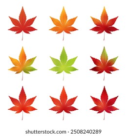 Set of various colored autumn maple leaves_red yellow green autumn leaves