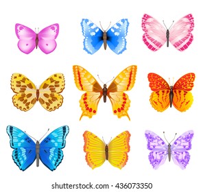 set of various colorful butterflies with open wings