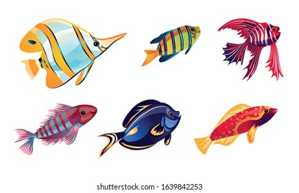 Set of various colorful coral reef fish. Vector illustration in the flat cartoon style