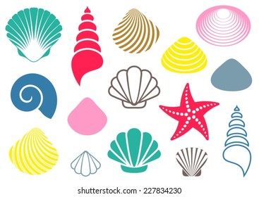 Set of various colorful sea shells and starfish