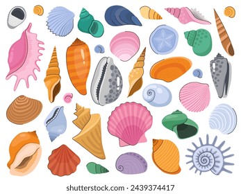 Set of various colorful seashells. Shell collection. Seashells of different shapes. Cartoon vector illustration. 