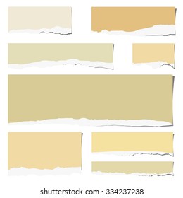 Set of various colorful torn note papers  on white background