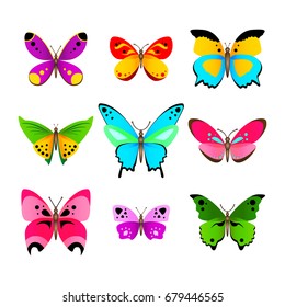 Set of various colorful vector butterflies isolated on white background.