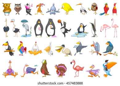 Set of various colourful birds. Collection of different species of birds playing basketball, baseball, reading book, sitting on eggs, eating sweets. Vector illustration isolated on white background.