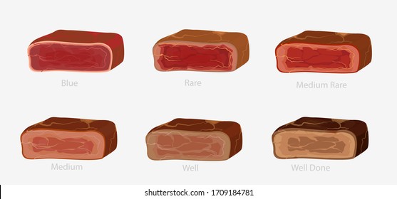 Set of various conditions of steak cooking vector graphic illustration. Collection of appetizing barbecue meat piece blue, rare medium and well doneness isolated on white background. Bbq beef bundle