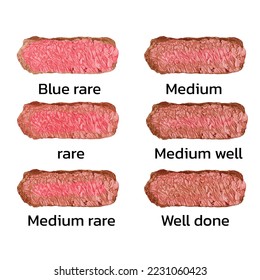 Set of various conditions of steak cooking vector graphic illustration. Collection of appetizing barbecue meat piece blue, rare medium and well doneness isolated on white background. Vector eps 10. pe