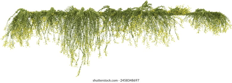 Set of various creeper plants, isolated on transparent background. 3D render