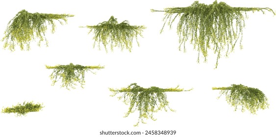 Set of various creeper plants, isolated on transparent background. 3D render.Top view