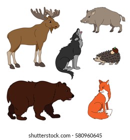 Set of various cute animals, forest animals. Wolf, fox, bear, wild boar, moose, hedgehog. Vector illustration isolated on white.