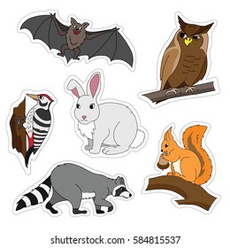 Set of various cute animals, forest animals. Woodpecker on a branch, owl, bat, Bunny, squirrel, raccoon. Vector illustration isolated on white.