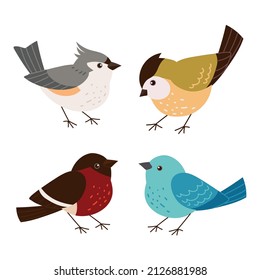 set of various cute birds