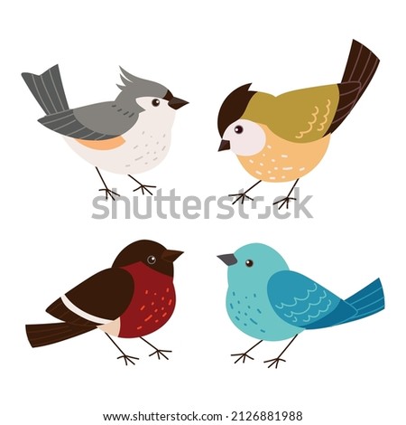 set of various cute birds