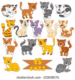 Set of various cute cats