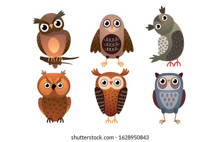 Set of various cute colorful owls. Vector illustration in flat cartoon style.