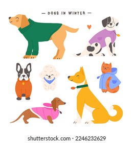 Set of various cute dogs and a cat wearing colorful winter outfits. Hand drawn cartoon animals vector illustration.