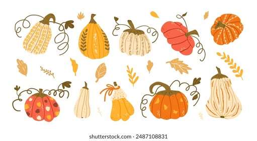 Set of various decorated pumpkins in autumn colors with decorative leaves. Textured autumn ripe vegetables harvest. Vector hand drawn kit illustration isolated on white background.