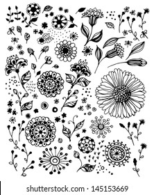 Set of various decorative flowers for design